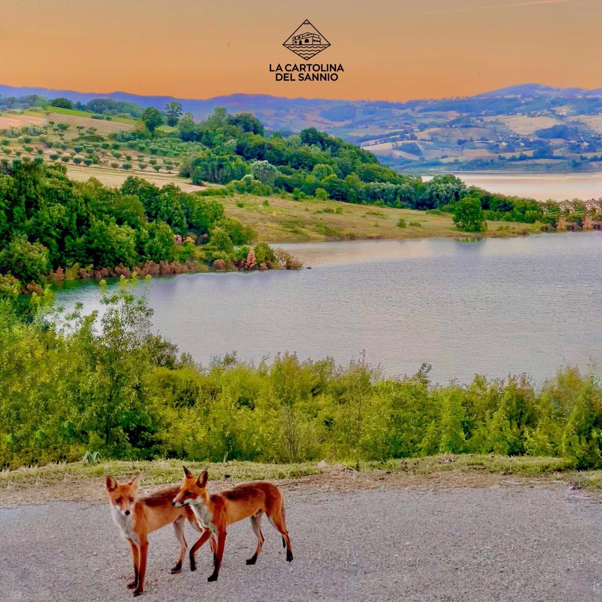 La Cartolina Del Sannio Bed & Breakfast Campolattaro Dış mekan fotoğraf